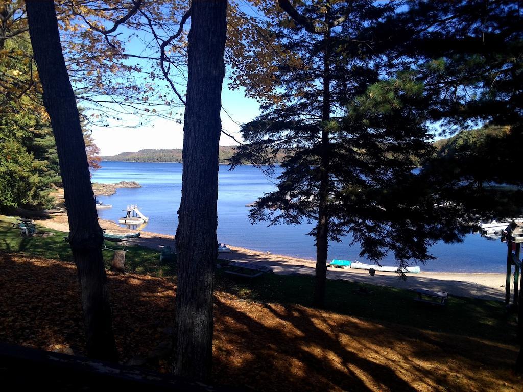 Little Hawk Resort & Marina Algonquin Highlands Luaran gambar
