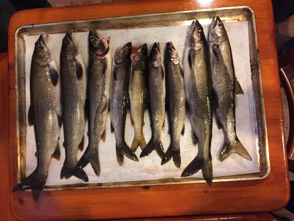 Little Hawk Resort & Marina Algonquin Highlands Luaran gambar